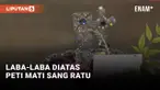 Laba-Laba
