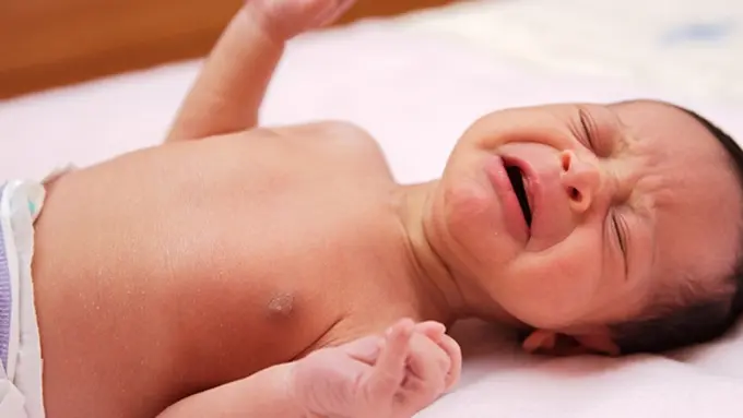 Ilustrasi (c) tiptipot.co.il