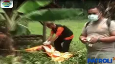 Jasad tergeletak di dekat gubuk areal persawahan tanpa mengenakan busana.