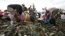 Relawan dari kedutaan besar AS mengumpulkan sampah di Manila Bay pada (19/9/2015). Kegiatan membersihkan pantai ini untuk memperingati International Coastal Cleanup Day atau Hari membersihkan pantai internasional. (REUTERS/Romeo Ranoco)