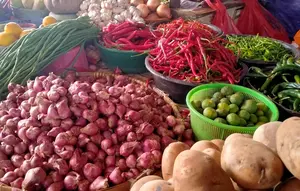 Harga Pangan 14 September 2026: Cabai Rawit Hijau Sentuh Rp 64.100 per Kg