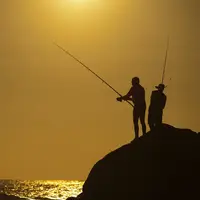 Ilustrasi menangkap ikan/Copyright pexels.com/Oleksandr Pidvalnyi&nbsp;