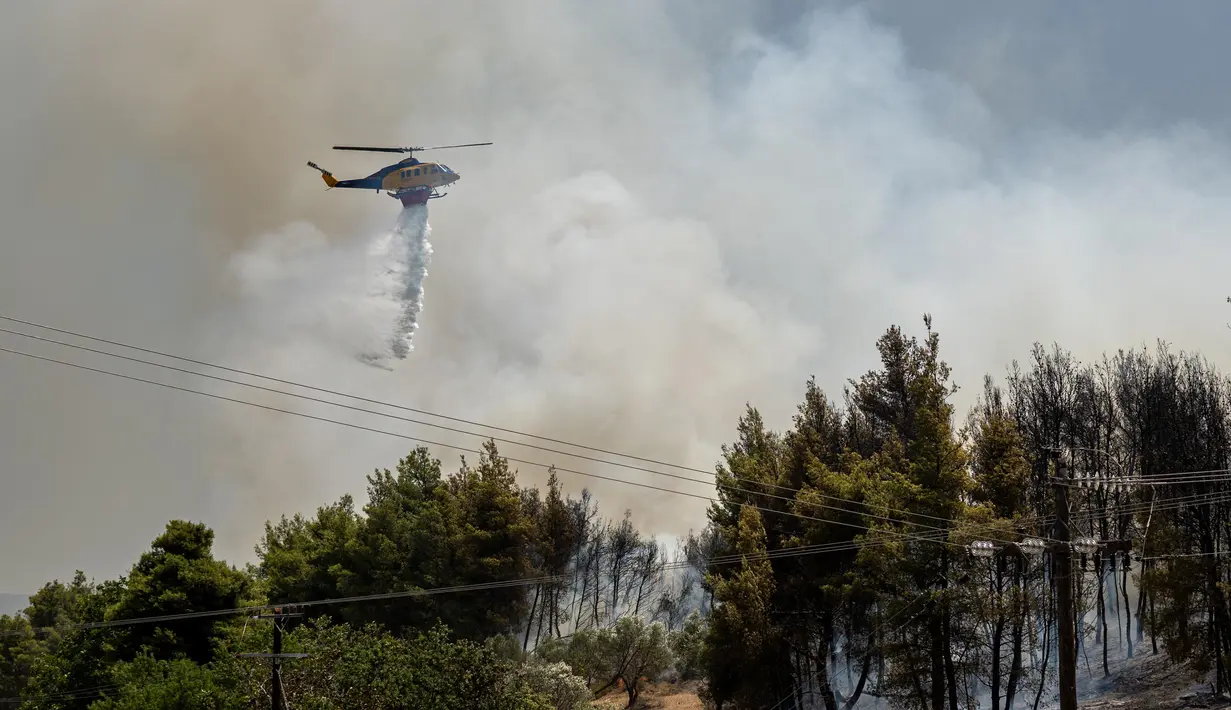Sebelumnya diketahui, Yunani tengah mengalami gelombang panas ekstrem selama sepekan terakhir. Suhu di sejumlah wilayah Yunani mencapai lebih dari 40 derajat celsius. (Angelos TZORTZINIS/AFP)