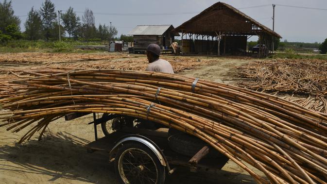 Seorang pekerja mengangkut rotan untuk ekspor di sebuah bengkel di Banda Aceh (16/10/2019). Aceh merupakan salah satu sentra produksi rotan terbesar di Sumatera. (AFP Photo/Chaideer Mahyuddin)