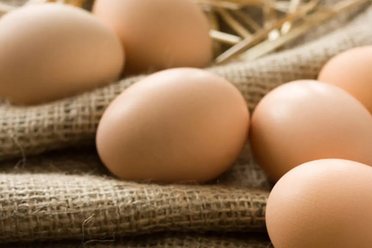 Foto: Shutterstock