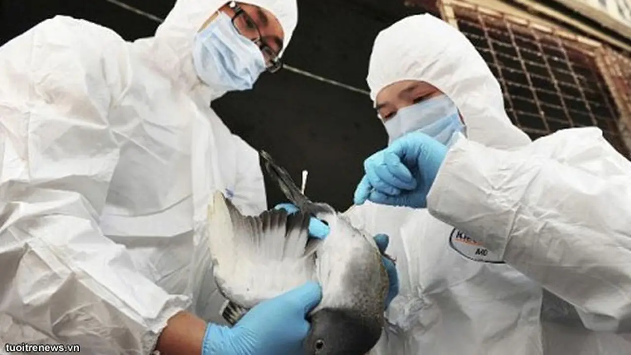 h7n9-lagi130430b.jpg