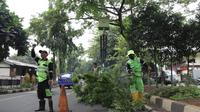 Petugas DLH Kota Tangerang melakukan penopingan untuk mencegah pohon tumbang akibat angin kencang saat musim hujan. (Liputan6.com/Pramita Tristiawati)