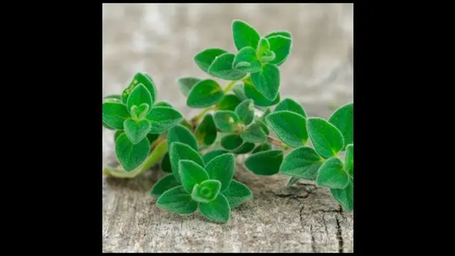 Photo copyright allwomenstalk.com