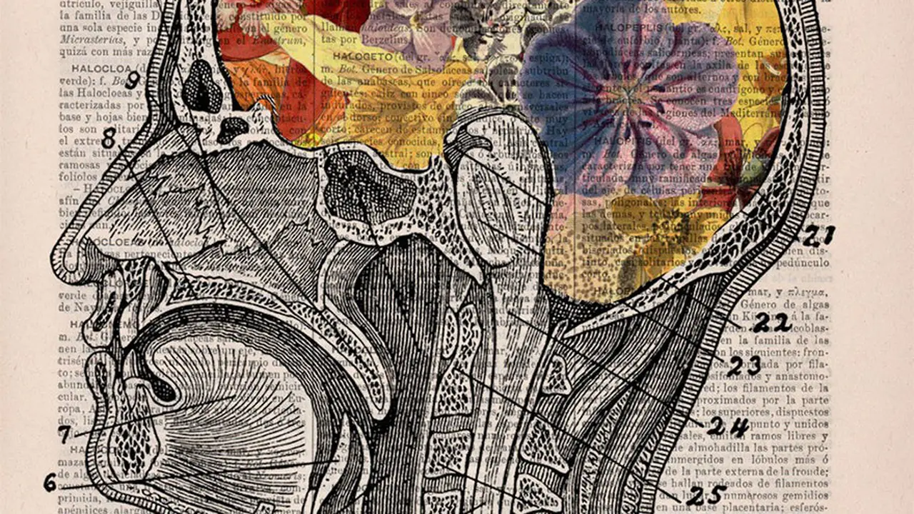 [Bintang] 10 Ilustrasi Anatomi Tubuh Motif Bunga yang Digores di Buku Tua