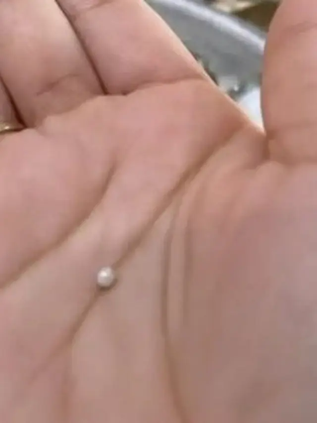 Makan Kerang di Restoran, Wanita Ini Tak Sengaja Temukan Mutiara Seharga Ribuan Dolar