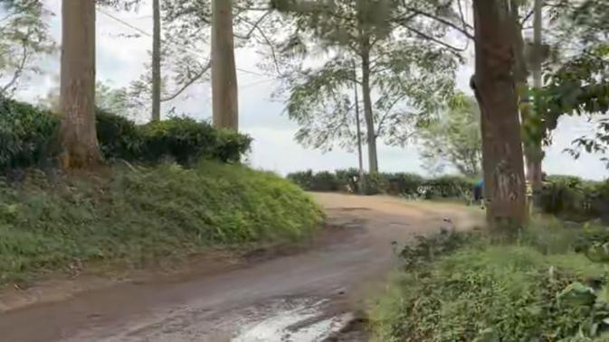 Pondok Halimun Sukabumi Tetap Jadi Primadona Wisata Meski Akses Jalan Rusak