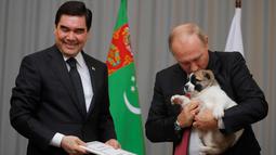 Presiden Rusia, Vladimir Putin (kanan) memncium anjing gembala Turkmen atau dikenal sebagai Alabai pemberian Presiden Turkmenistan Gurbanguly Berdimuhamedov saat pertemuan di Sochi, Rusia (11/10). (AFP Photo/Pool/Maxim Shemetov)