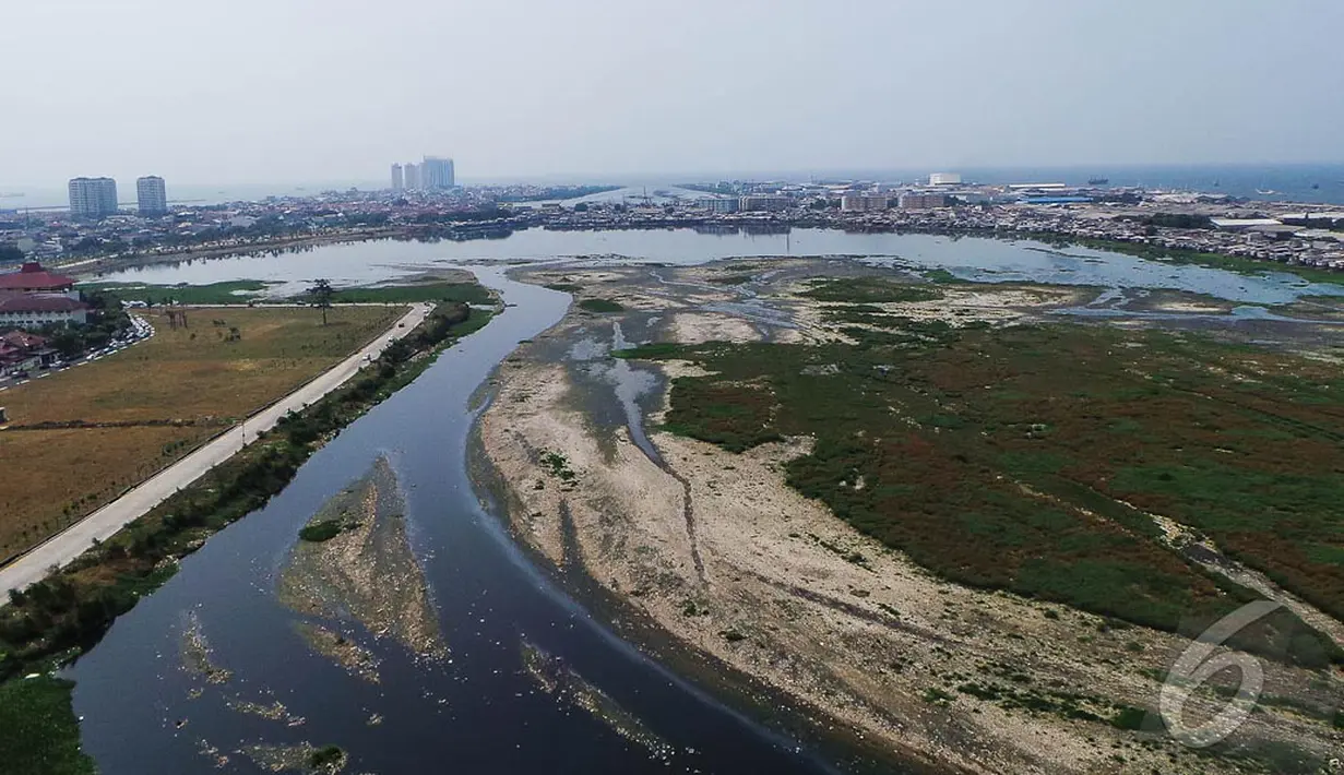 Musim kemarau membuat kuantitas air waduk terluas di Jakarta tersebut mengering, Jakarta, Rabu (10/9/2014) (Liputan6.com/Faizal Fanani)