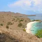 Pink Beach dapat ditempuh menggunakan perahu boat yang banyak disewakan di dermaga Labuan Bajo. Harga sewa perahu bervariatif, akan lebih murah jika berkunjung dalam rombongan. (Liputan6.com/ Ahmad ibo).