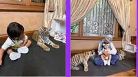 Ria Ricis dan Moana main bareng harimau Alshad Ahmad (Foto: instagram riaricis1795)