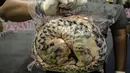 Petugas memperlihatkan daging trenggiling yang sudah dikemas, Jombang, Jatim (25/8). Rencananya daging trenggiling tersebut akan dikirim ke Tiongkok dan Taiwan. (AFP PHOTO/Juni Kriswanto)