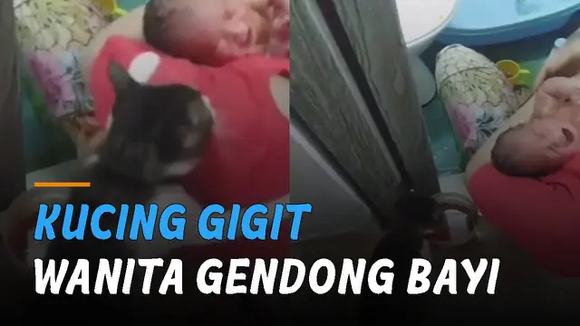 Ada-ada saja yang dilakukan seekor kucing ini ketika seorang wanita menggendong bayin yang sedang nangis dikira nyakitin bayi.