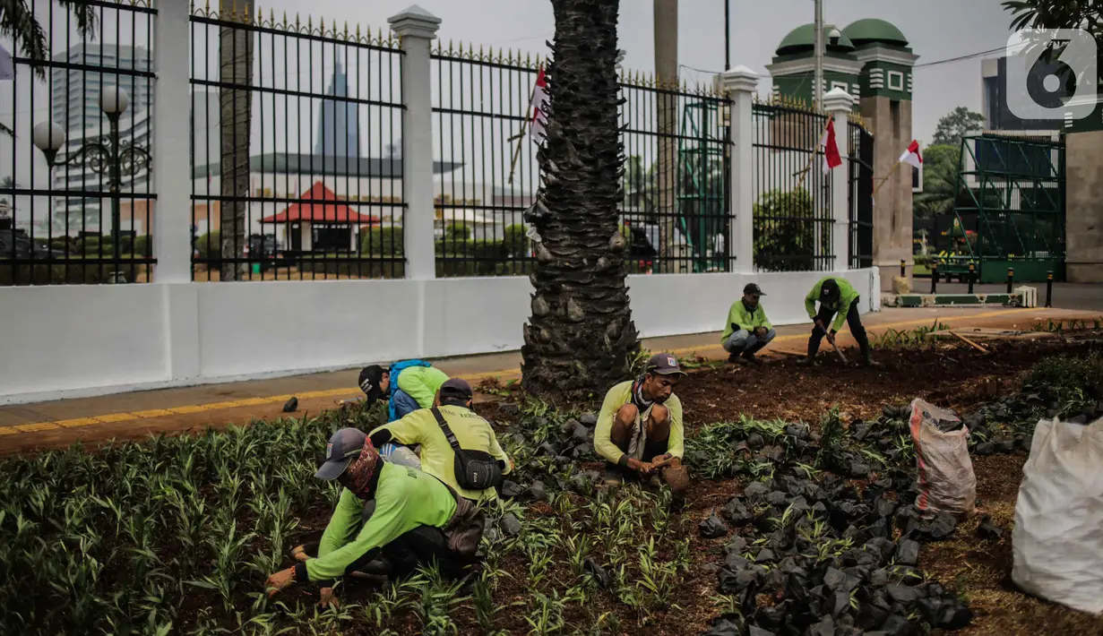 Pekerja menanam tanaman di sekitar kompleks Parlemen Gedung DPR/MPR, Senayan, Jakarta, Rabu (16/10/2019). Jelang pelantikan presiden dan wakil presiden pada 20 Oktober, berbagai persiapan dilakukan Gedung DPR, salah satunya mempercantik pagar di depan pintu masuk. (Liputan6.com/Faizal Fanani)