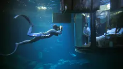 Penyelam mengambil gambar pengunjung yang tengah melihat hiu dari sebuah kamar saat menginap di hotel bawah air Aquarium of Paris, Prancis, 14 Maret 2016. Hotel tersebut menawarkan sensasi menginap yang menegangkan dan seru. (REUTERS/Charles Platiau)