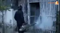 [VIDEO] Musim Hujan, Waspada Demam Berdarah dan Chikungunya!