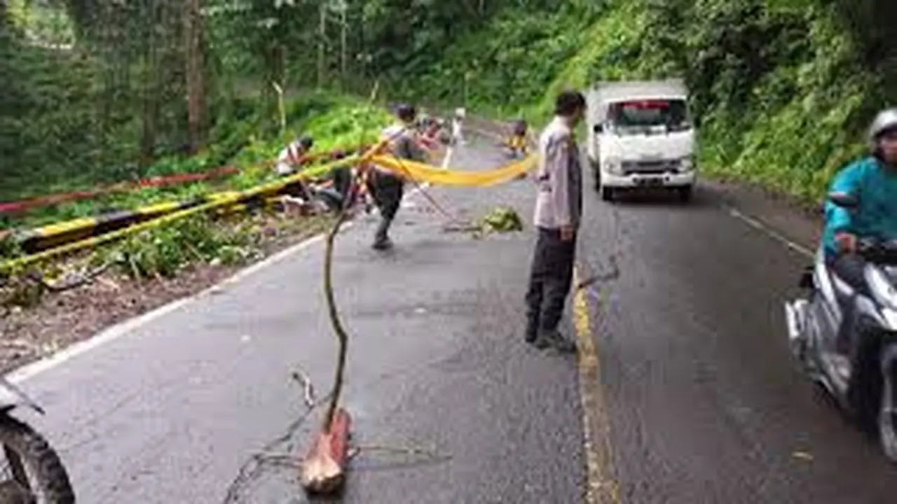 Jalur Gumitir yang akan ditutup total untuk perbaikan jalan (Istimewa)
