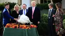 Presiden AS, Donald Trump bersama Ibu Negara Melania Trump dan putra Barron berpartisipasi dalam upacara pengampunan kalkun di Hari Thanksgiving yang ke 70 tahun di Taman Mawar Gedung Putih di Washington, AS, (21/11). (AP Photo / E Manuel Balce Ceneta)