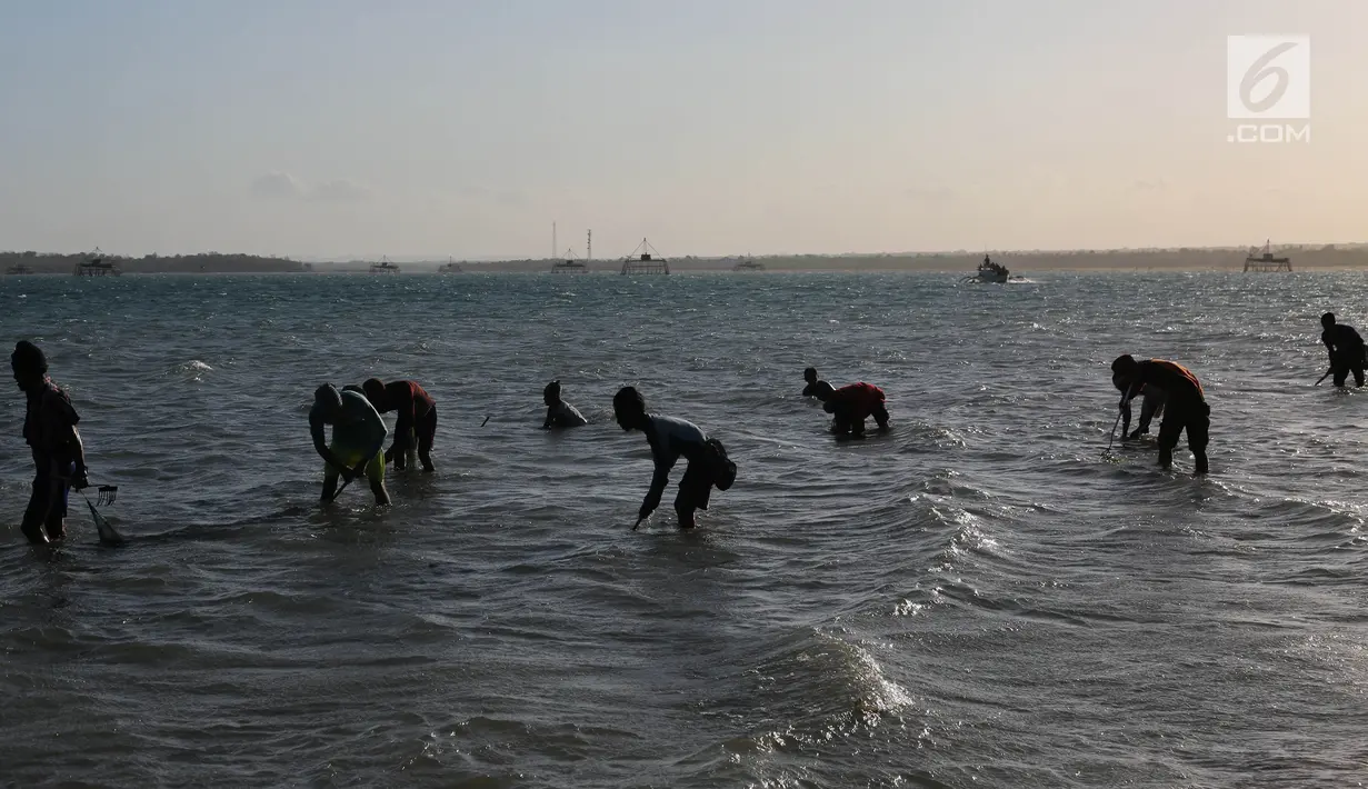 Warga mencari kerang laut di pesisir pantai Pulau Pasir, Lombok Timur, Sabtu (3/8/2019). Mereka mulai menangkap kerang ketika Pulau Pasir yang membentang laut akan tampak ketika air laut surut. (Liputan6.com/Fery Pradolo)