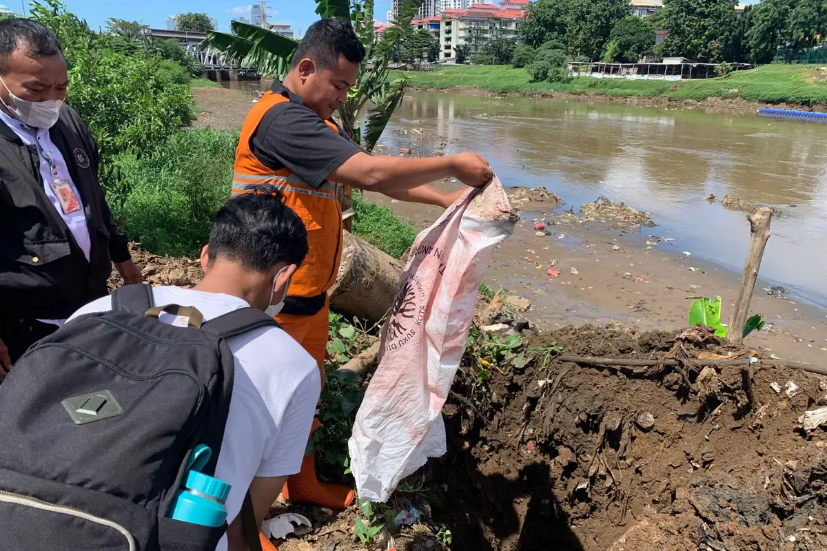 Pemprov DKI Jakarta melalui Dinas KPKP melakukan penguburan ikan sapu-sapu hasil penangkapan di sejumlah wilayah.