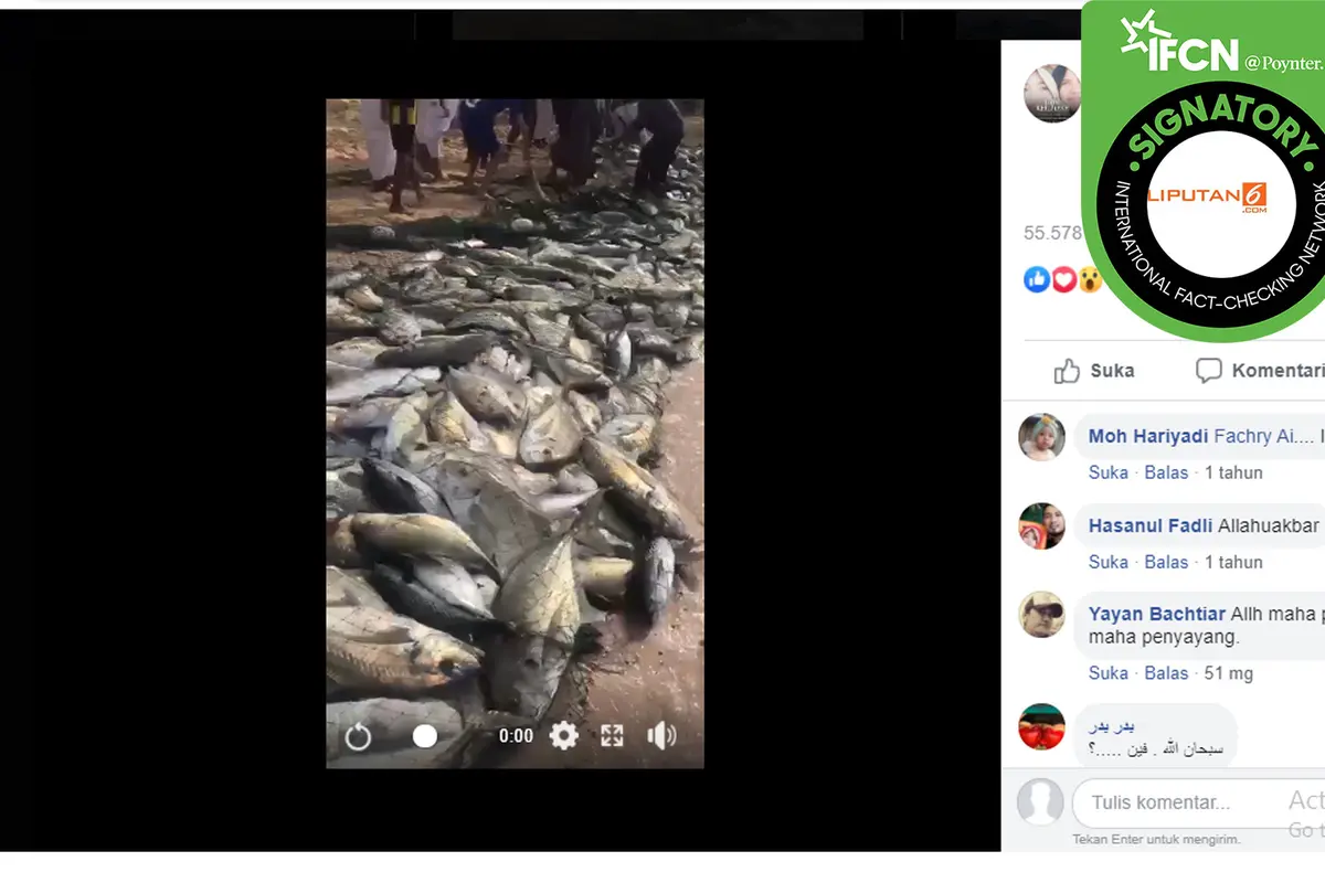 Hoaks ikan ke pantai Gaza