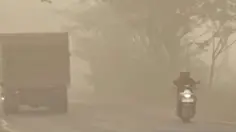 Kabut Asap Kebakaran Hutan Selimuti Kapuas, Jarak Pandang 100 Meter