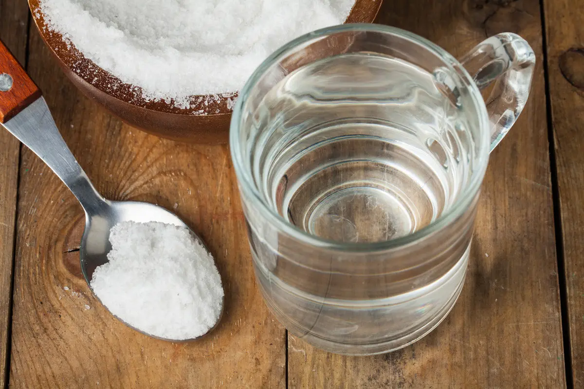 Diet Garam tingkatkan imunitas (Alexeysun/Shutterstock)