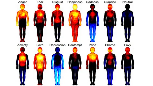 Saat Manusia Keluarkan Emosi, Tubuh Berubah - Health Liputan6.com