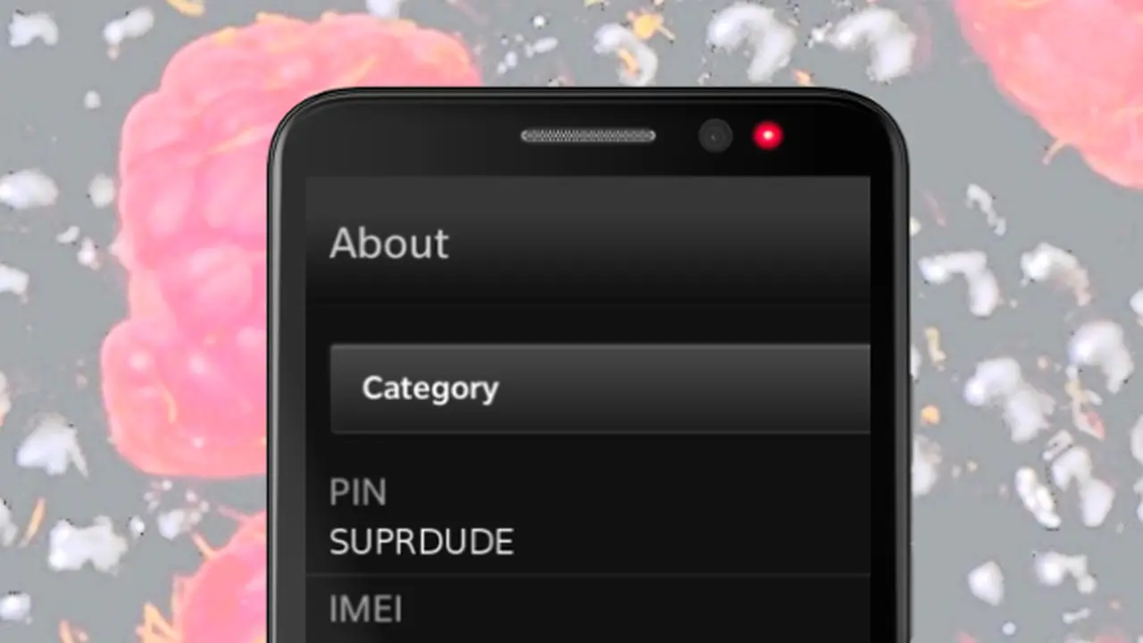Asyik, PIN BBM Segera Bisa Dikustomisasi