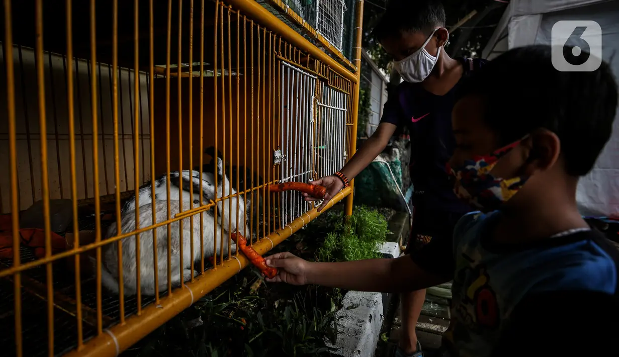 Anak-anak bermain di ruang edukasi anak di halaman Kantor Kelurahan Karet, Jakarta Selatan, Selasa (30/3/2021). Ruang terbuka yang berkonsep mini zoo ini memiliki sejumlah koleksi hewan peliharaan seperti kelinci, burung dan ikan hias. (Liputan6.com/Johan Tallo)