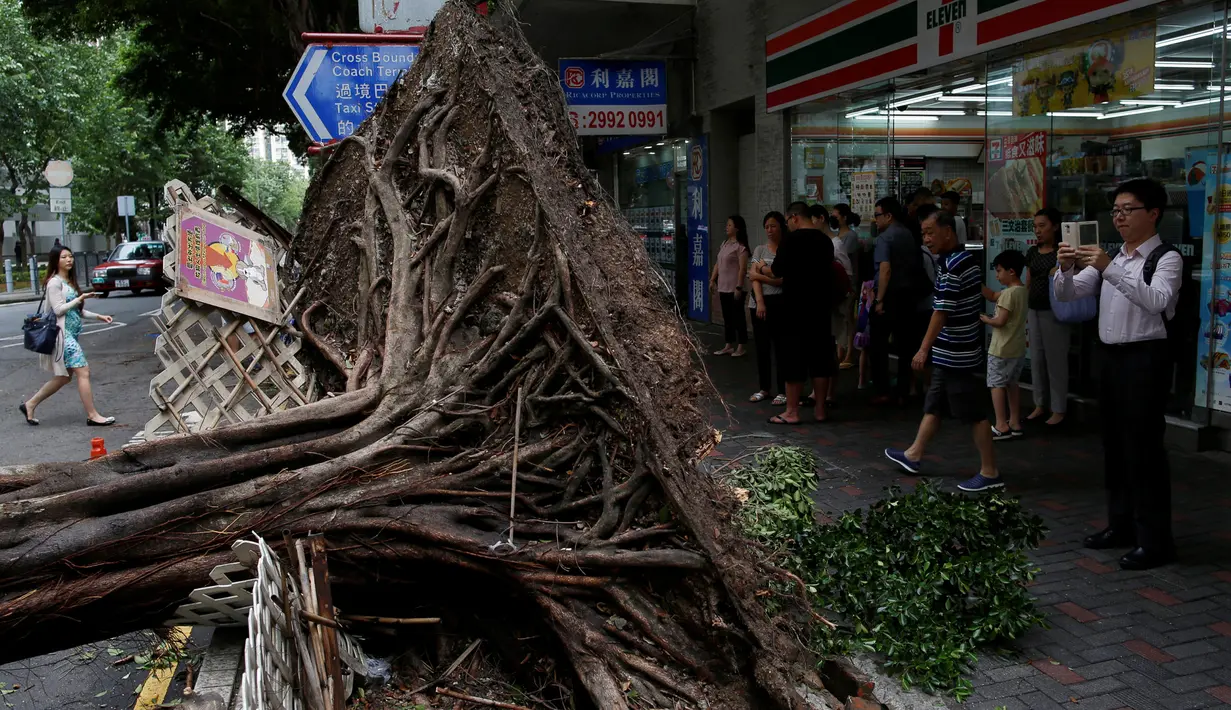 Warga mengambil foto pohon yang tumbang akibat angin yang kuat di Hong Kong, China, 2 Agustus 2016. Angin kencang berkekuatan 151 kilometer per jam itu membuat bandara, sekolah dan perkantoran tutup. (REUTERS/Tyrone Siu)
