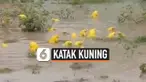 THUMBNAIL KATAK