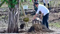 Tanam Pohon Bersama Warga, Jokowi: Tindakan Nyata Hadapi Perubahan Iklim