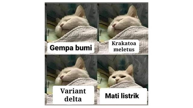 7 Meme Cara Bangun Mendadak dari Tidur, Bikin Ikut Mengangguk