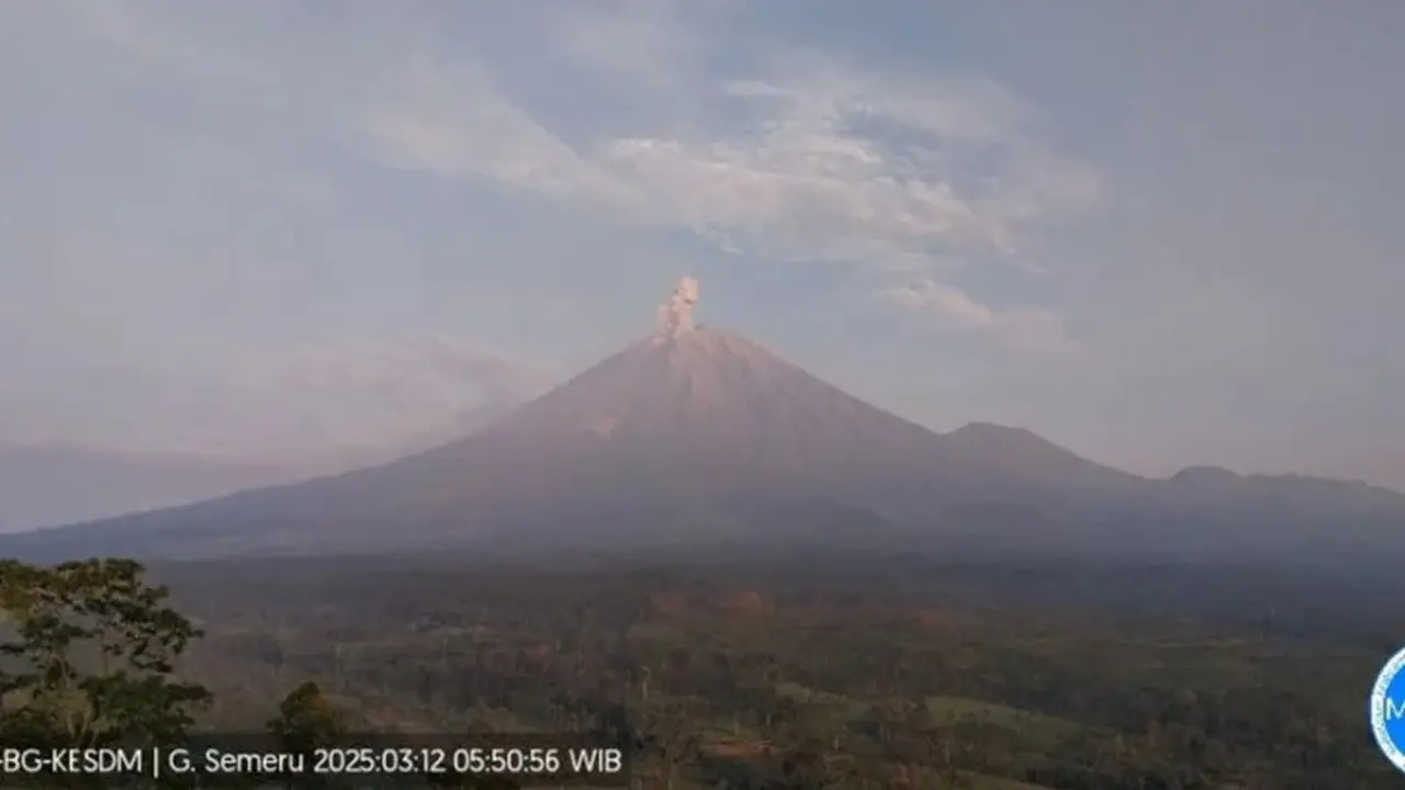 Gunung semeru kembali erupsi, dengan tinggi letusan capai 1 kilometer (Istimewa)