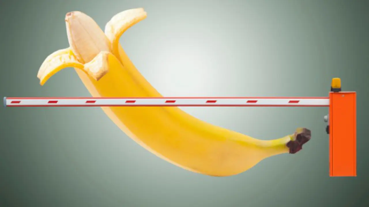 8 Fakta Tentang Kesehatan Penis