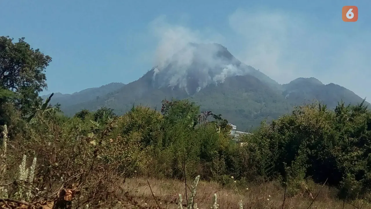 Hutan di Gunung Panderman Terbakar Bisa Bikin Kera Turun Gunung