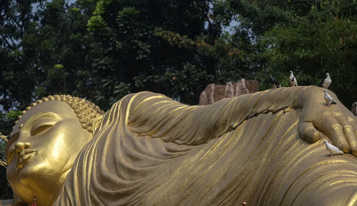 Burung merpati berdiri di atas patung Buddha raksasa di Vihara Maha Vihara Mojopahit di Mojokerto pada 4 Juni 2023. Proses pembersihan dan pemeliharaan patung Buddha Tidur di Vihara ini juga sudah dilakukan jelang Hari Raya Waisak. (AFP/Juni Kriswanto