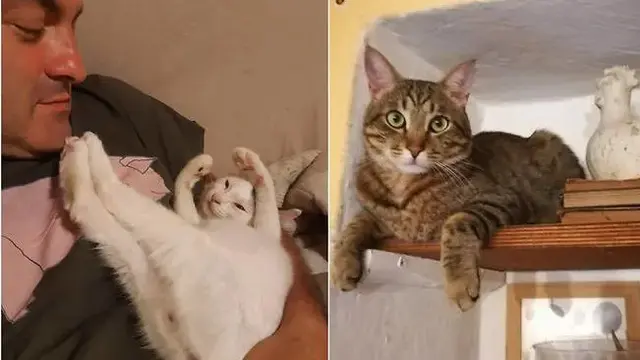Claudio Piana dengan Simba dan Mose (Facebook/Sabrina Pellegrini)
