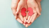 Transplantasi Ginjal Beri Harapan Hidup Lebih Baik, Tingkat Keberhasilan Meningkat