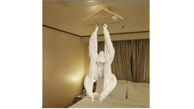 Kreasi Kreatif Saat Menata Handuk di Hotel Ini Bikin Kagum