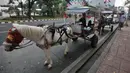 Sejumlah kusir delman menunggu penumpang di kawasan Monas, Jakarta, Selasa (3/7). Seluruh kuda yang akan bertanding pada Asian Games berlokasi di Venue Equestrian Rawamangun atau berjarak 10 kilometer dari Jakarta Pusat. (Merdeka.com/Iqbal Nugroho)