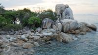Pantai Parai Tenggiri dikelola oleh pihak swasta sehingga faktor kenyamanan dan keamanan wisatawannya sangat diperhatikan. Hal ini dapat terlihat dari lingkungan pantai yang sangat bersih dan asri. (Liputan6.com/Gempur M Surya)