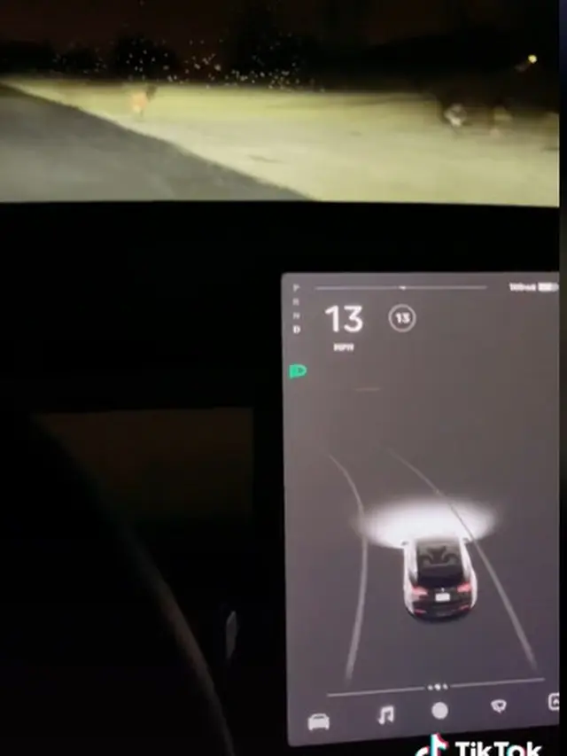 Bukan karena Canggih, Viral Pria Beli Mobil Tesla untuk Lihat Penampakan