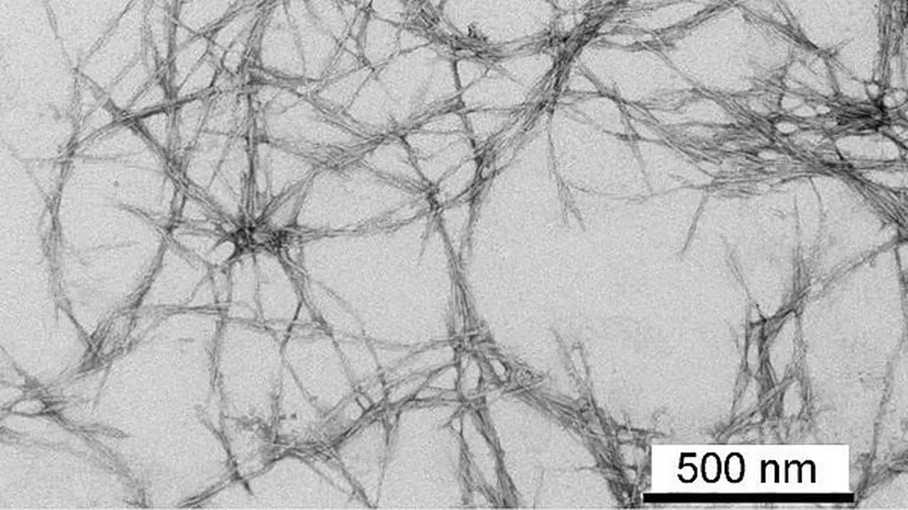 Cellulose Nanotechnology