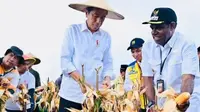 Presiden Joko Widodo (Jokowi) meninjau lokasi pengembangan Food Estate di Kampung Wambes, Kabupaten Keerom, Papua. (dok: PUPR)
